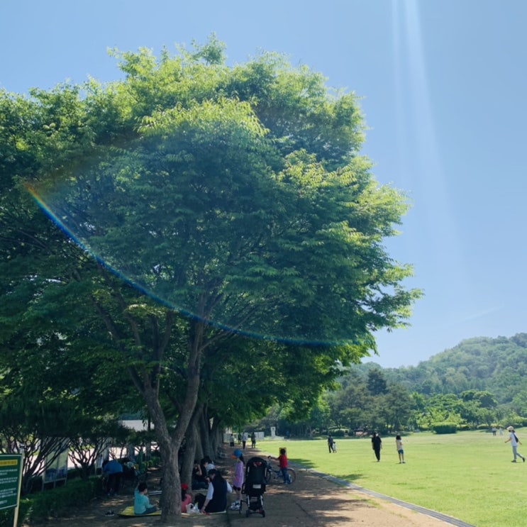  아산 아이와 가볼 만한 곳 신정호 국민 관광단지