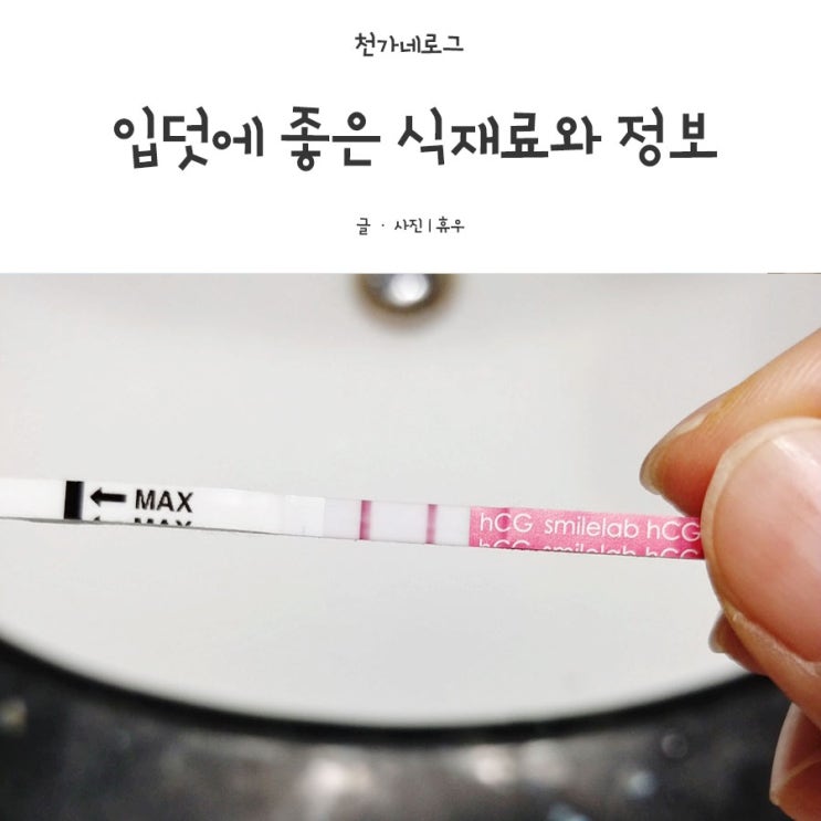  입덧할때 좋은 식재료 정보