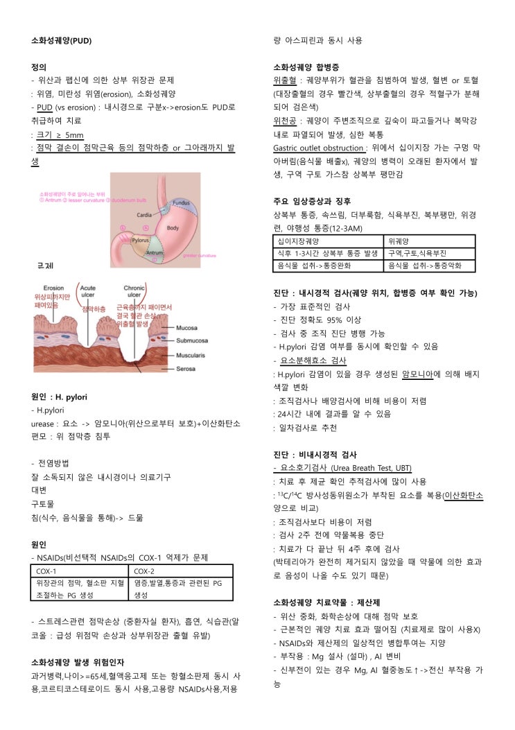 약물치료학 2 정리 -1