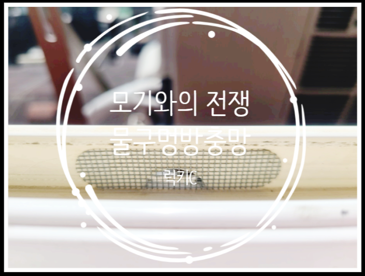  벌써여름! 모기와의 전쟁 - 대처법