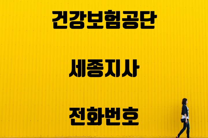  세종시 건강보험지사 전화번호