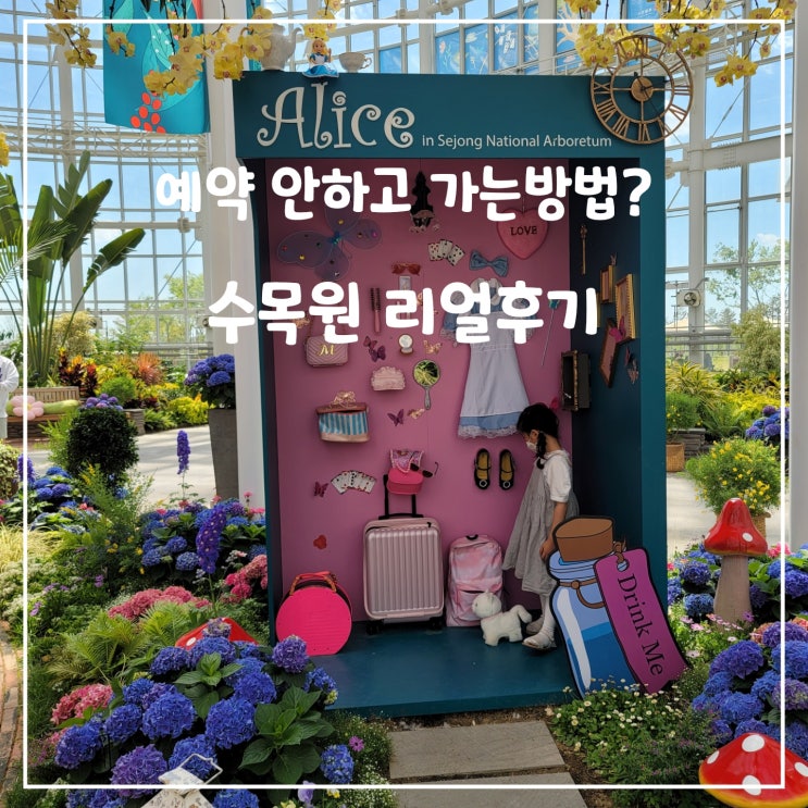  국립세종 수목원 예약없이 입장한 꿀tip과 입장료 및 할인