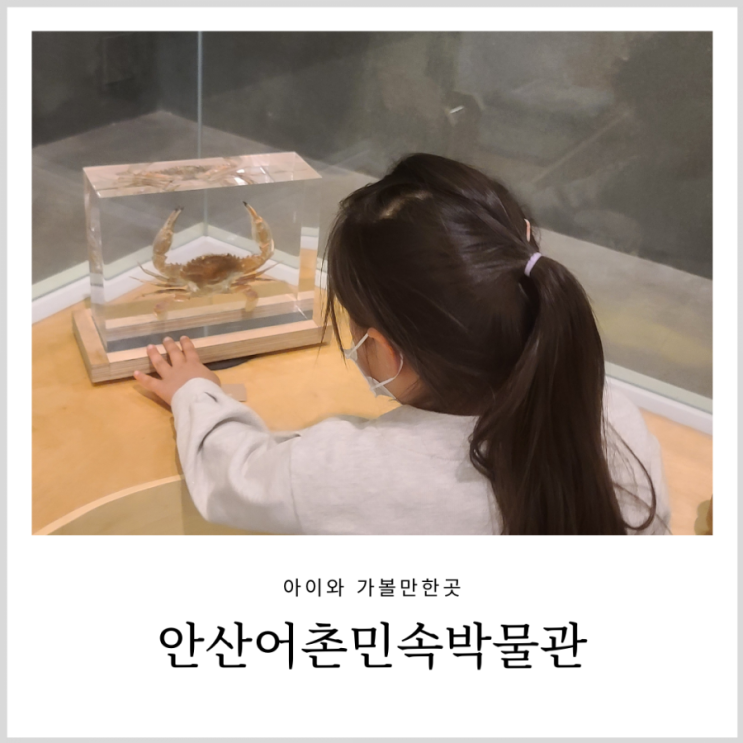 안산어촌민속박물관 탄도항 갯벌체험 때 아이와 가볼만한곳(주차 무료) 안산어촌민속박물관 탄도항 갯벌체험 때 아이와 가볼만한곳(주차 무료)