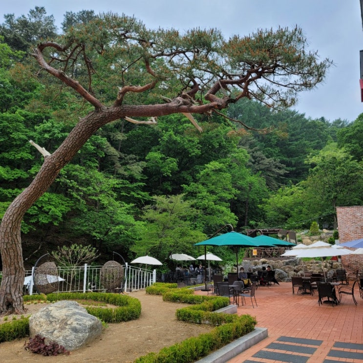  [용인 카페] 산솎에서 힐링하기 좋은 코나 헤이븐
