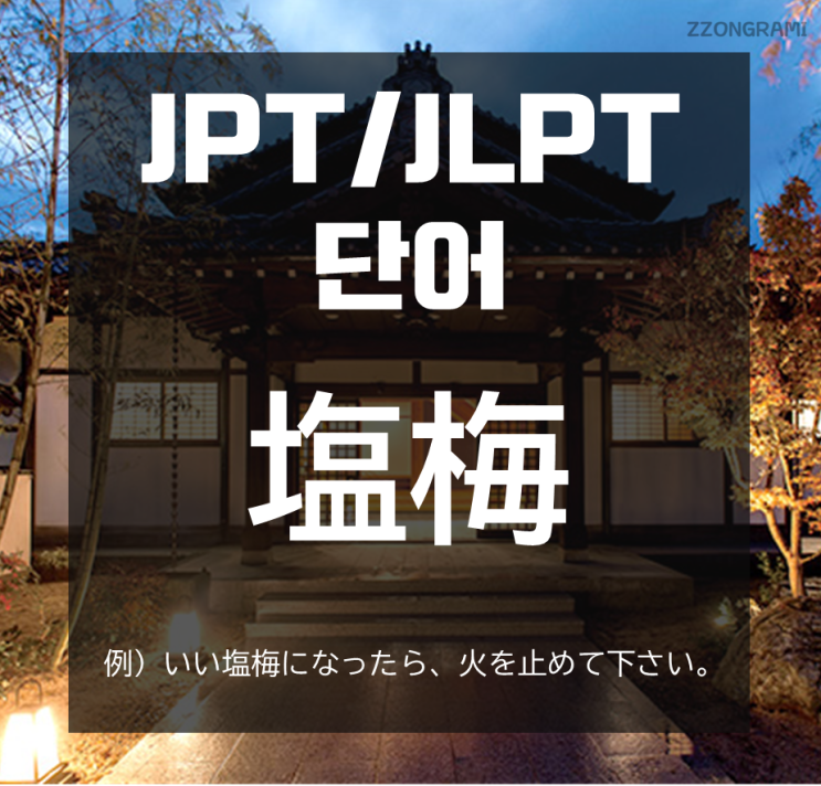  [일본어 공부] JPT/JLPT 단어 : 「塩梅」