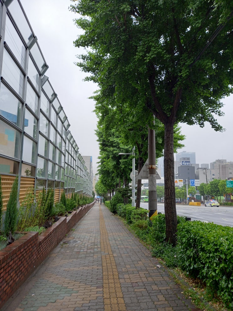 있는 모습 그대로 있는 모습 그대로