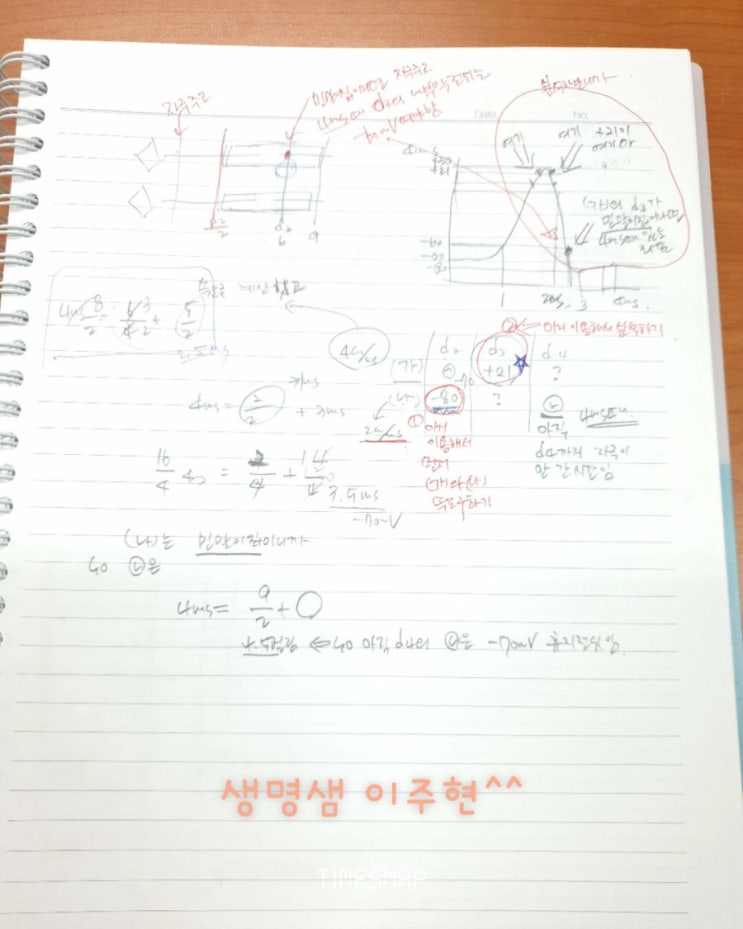 21년생1중간대비-흥분전도유형