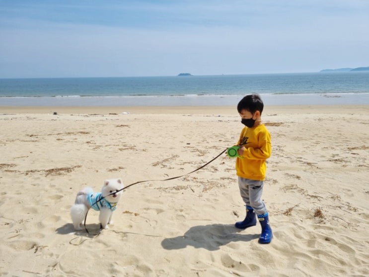  안면도 캠핑장 원산도 오봉산해수욕장 조용하게 쉴 수 있는 곳