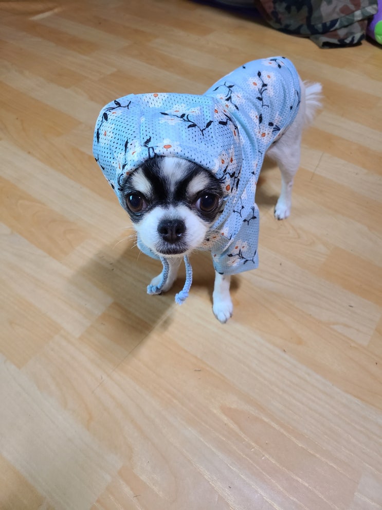  세상 귀엽고 사랑스러운 아리쓰