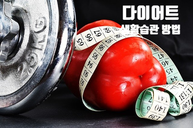  체중 감량 다이어트 도움 되는 아침 생활 습관 방법