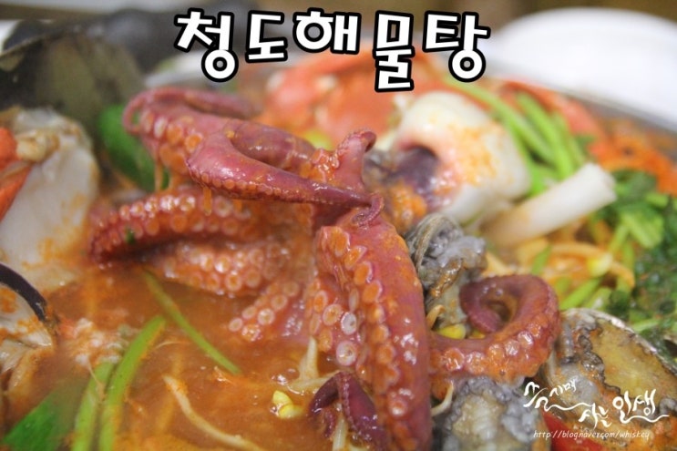  [제주도 용두암 맛집] 제주해물탕 맛나는 청도해물탕