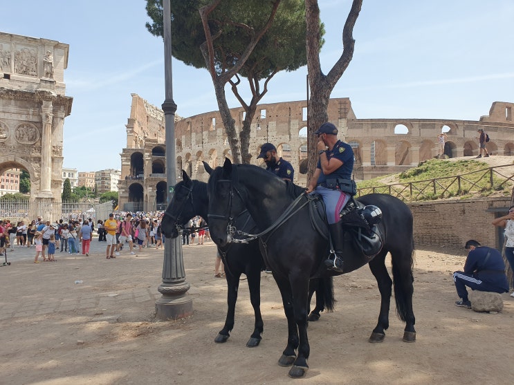 로마 ㅣ 콜로세움 그리고 로마 도시 탐방(20~21)