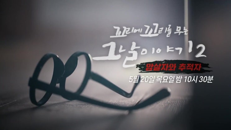 김구 암살 안두희 배후 김창룡 꼬리에 꼬리를 무는 그날 이야기 김구 암살 안두희 배후 김창룡 꼬리에 꼬리를 무는 그날 이야기