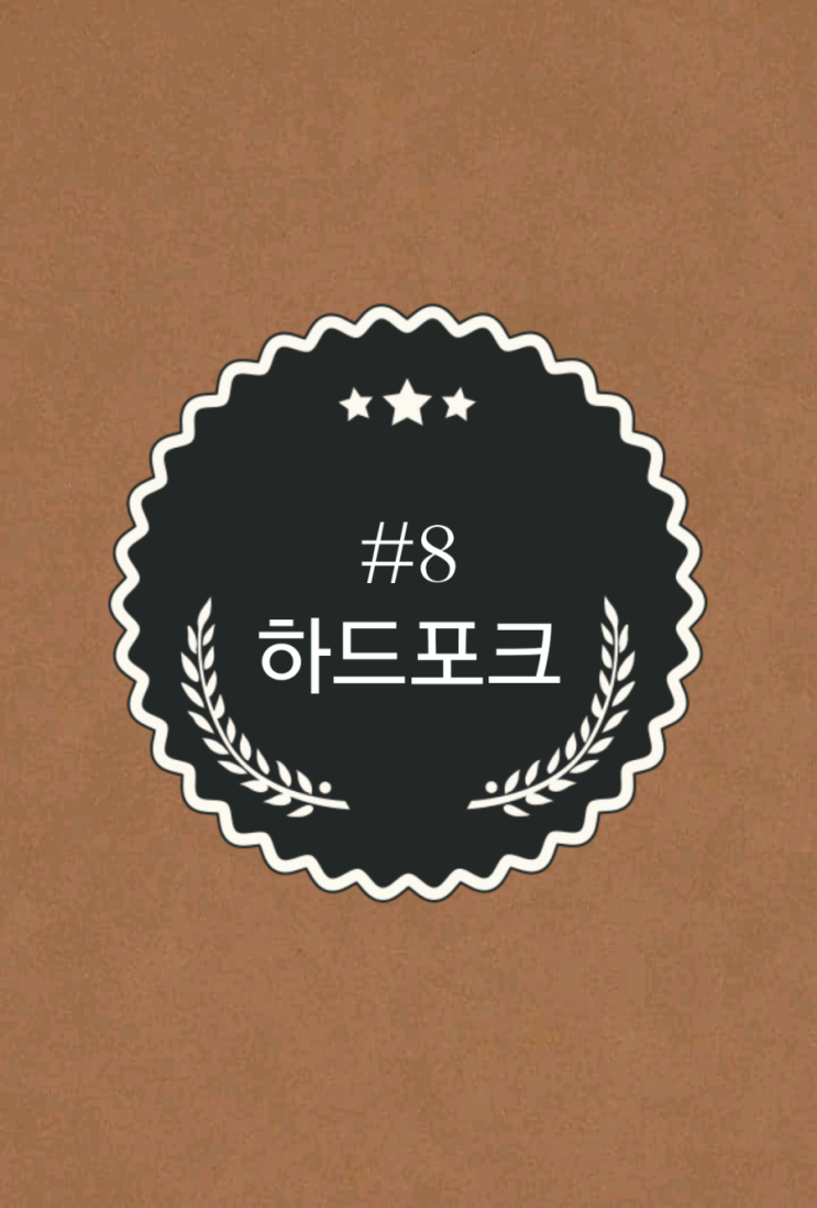  #8 [하드포크]_코인놀이터와 함께하는 코인상식