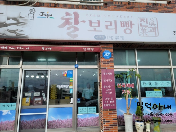  제주도 찰보리빵 추천_명류당 찰보리빵 선물용으로 좋아요