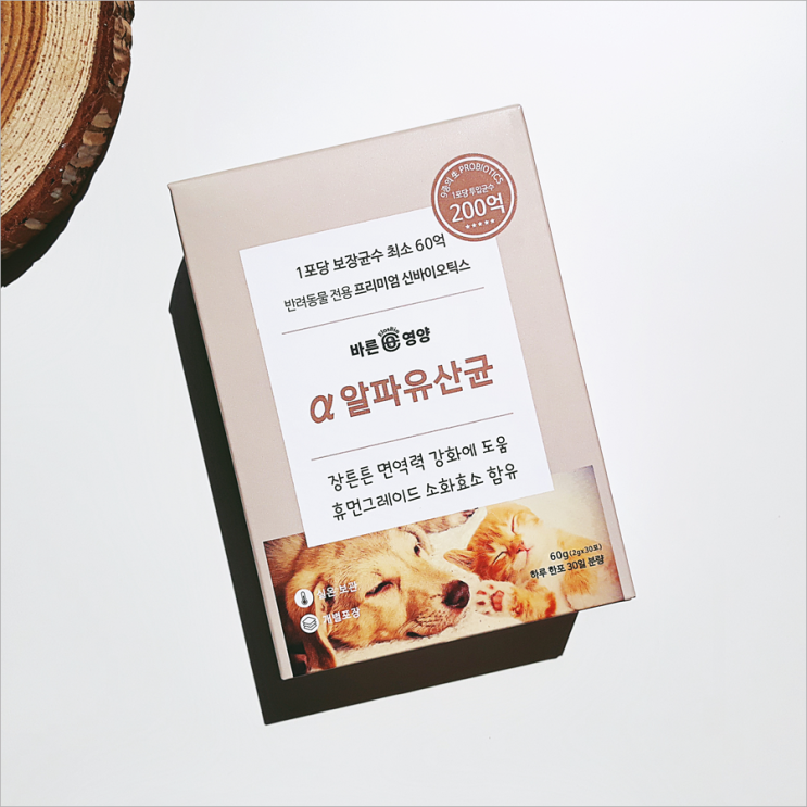  바른영양펫연구소 알파로 챙기는중