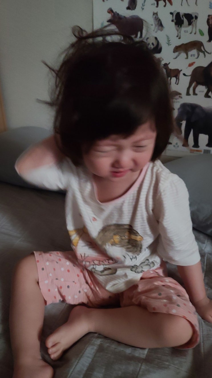  24개월 육아일기 칫솔 욕심