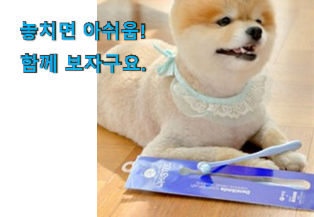진또배기 반려견치석칫솔 갓템 지인도 좋아해요. 진또배기 반려견치석칫솔 갓템 지인도 좋아해요.