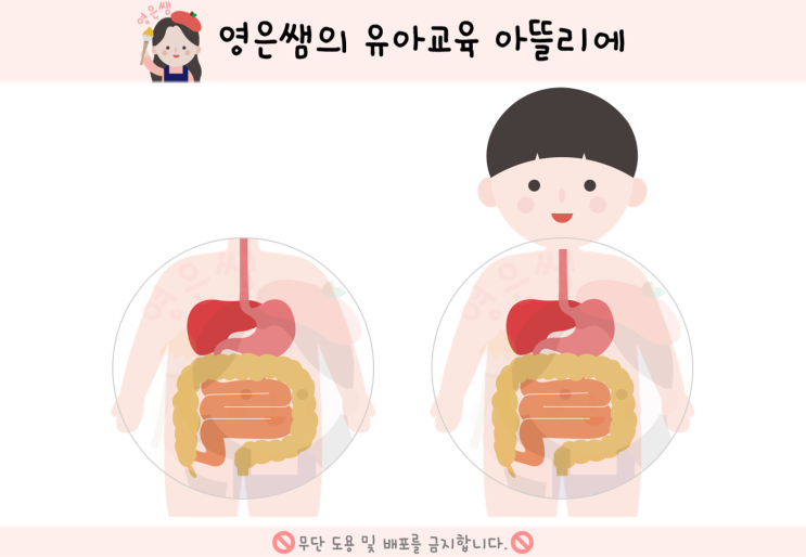  소화기관 도안