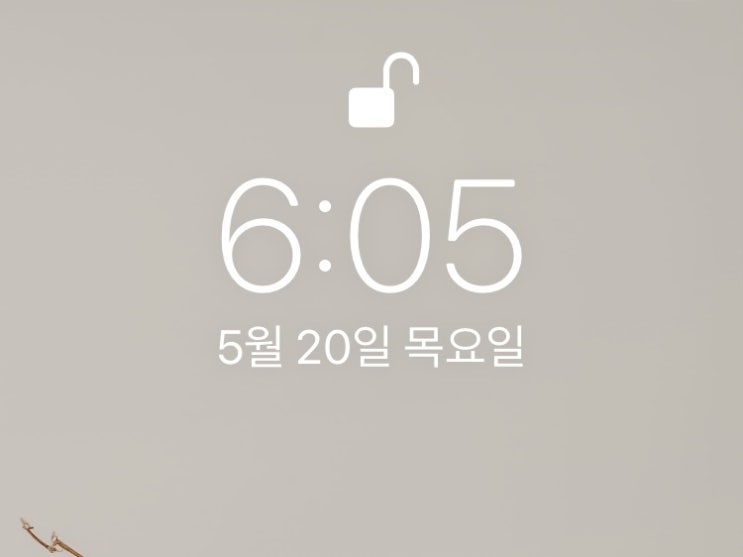  [습관만들기] 미라클 모닝 Day4