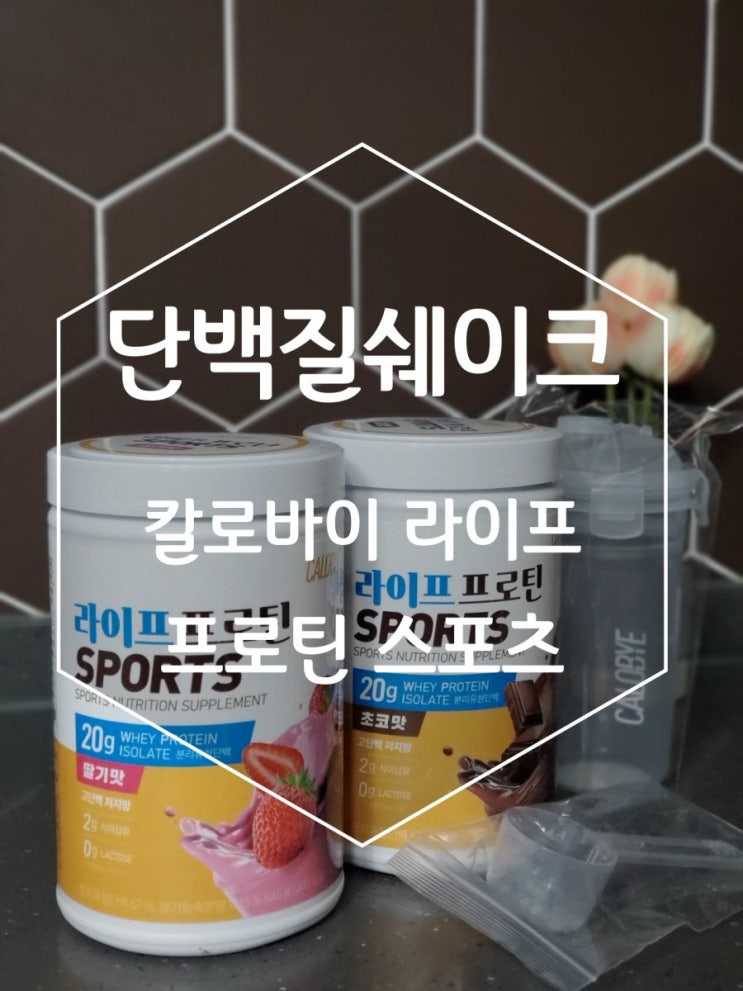 단백질쉐이크 칼로바이 라이프 프로틴 스포츠 제대로네요