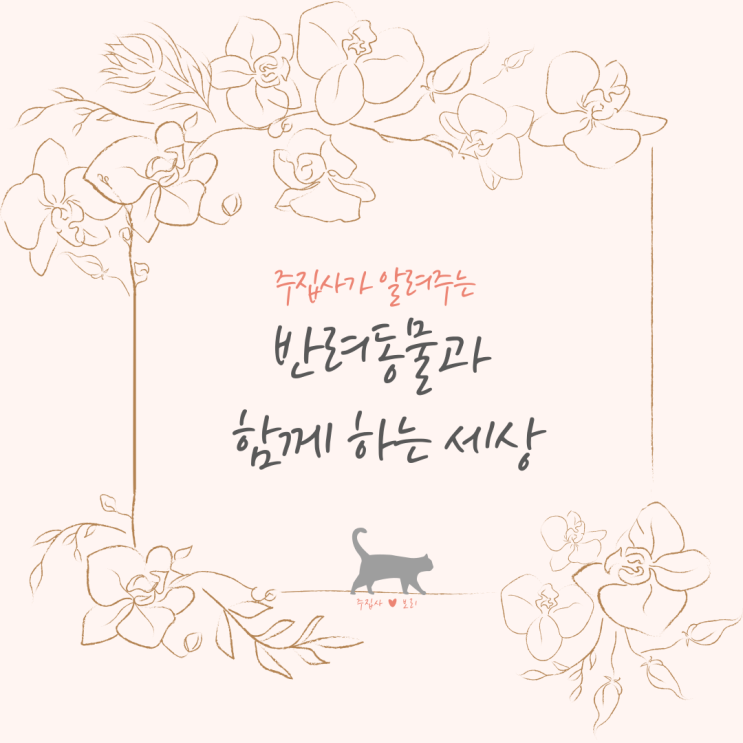  또 하나의 가족 반려동물과 함께 하는 세상