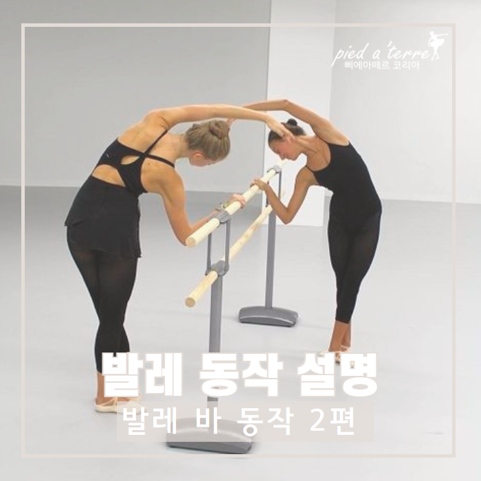  발레 동작 | 발레 바 워크, 발레 바 동작 알아보기! 바 워크 동작 정리 2편!