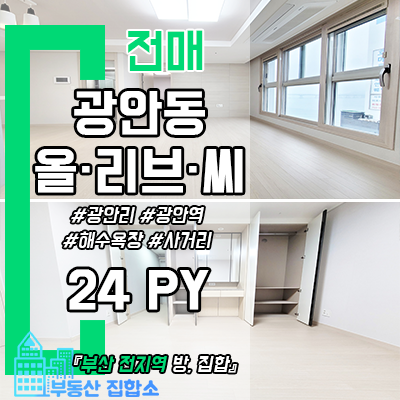 수영구 소형 아파트 매매 - 광안비치올리브씨 분양권 전매 마이너스P 수영구 소형 아파트 매매 - 광안비치올리브씨 분양권 전매 마이너스P