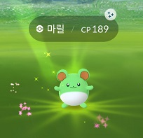  포켓몬고 5월 25일 마릴 스포트라이트 아워에 주목하라(슈퍼리그에서 승률 올리는데 마릴리가 필수)