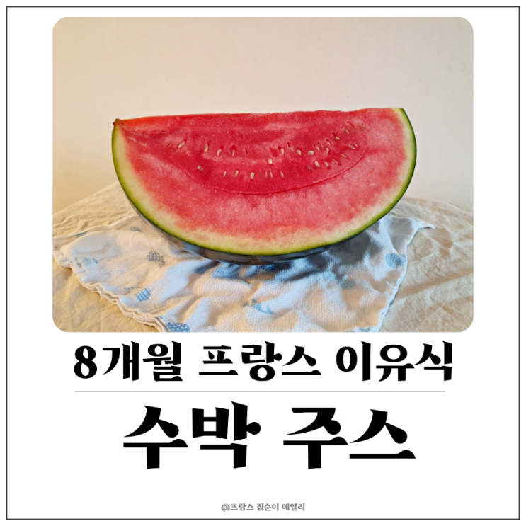  [8개월 아기 프랑스 이유식] 시원한 수박 주스 갈아주기, 닥터브라운 Y자형 젖병꼭지