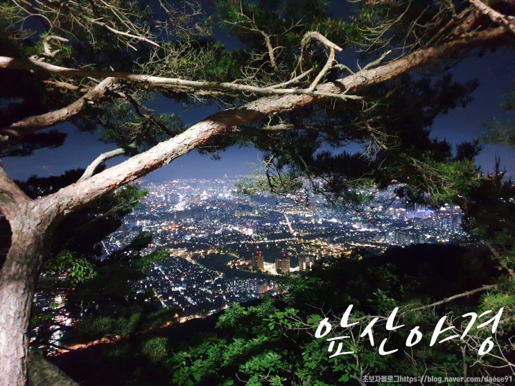  대구 앞산 등산로를 따라 도착한 전망대에서 만난 대구야야경