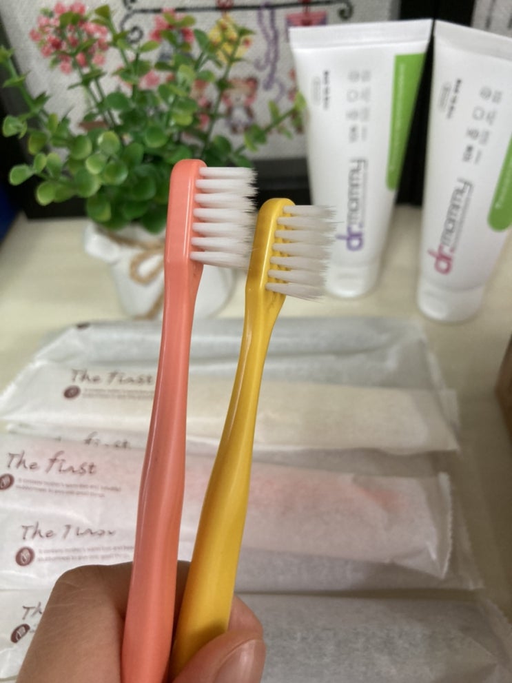  (어린이칫솔추천) 더퍼스트 옥수수소재 유아 모던 향균 칫솔, 닥터마미 저불소 치약