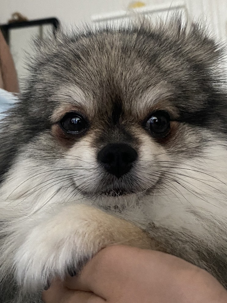  꾸꾸가 세수를 해요