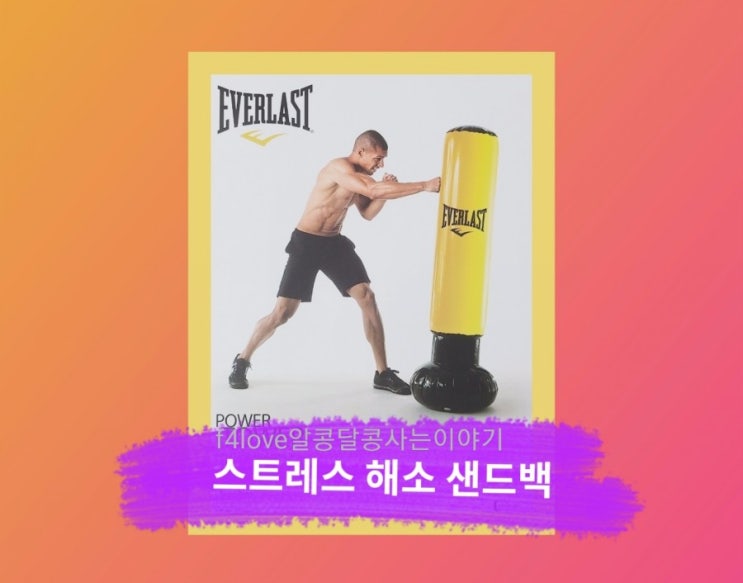  [내돈내산] 에버라스트 파워타워 펀칭백 샌드백~ 아이들이 좋아해요.