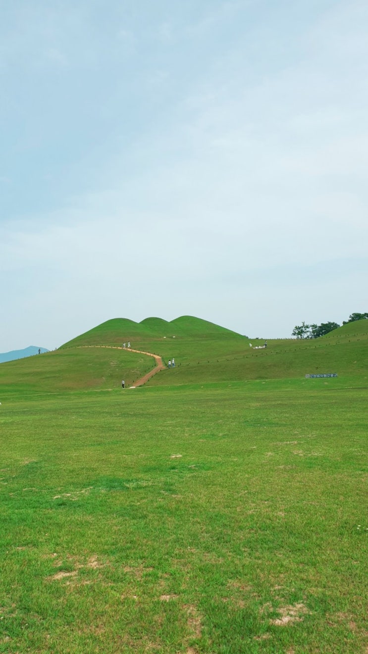  경남 고성 송학동 고분군 가야고분 유네스코등재신청