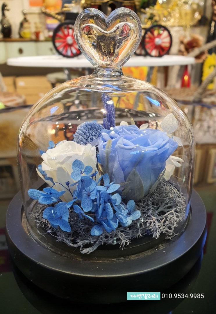 [다연갤러리] 프리저브드 플라워 화이트데이 밸런타인데이 꽃 선물 충주 인테리어소품