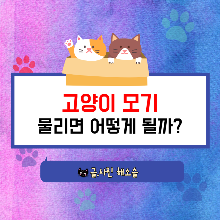  고양이 모기에 물리면 어떻게 될까? feat. 모기 물렸을 때 증상, 모기향 사용방법