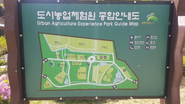  [4세+3세 연년생 가정보육 4월 봄 나들이/야외활동] 은평구 향림도시농업체험원