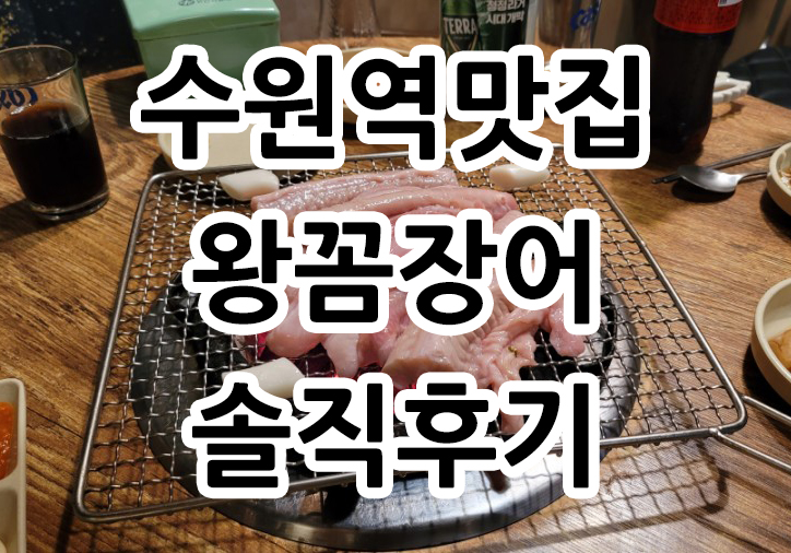  수원 맛집 팔달구 왕꼼장어 솔직후기