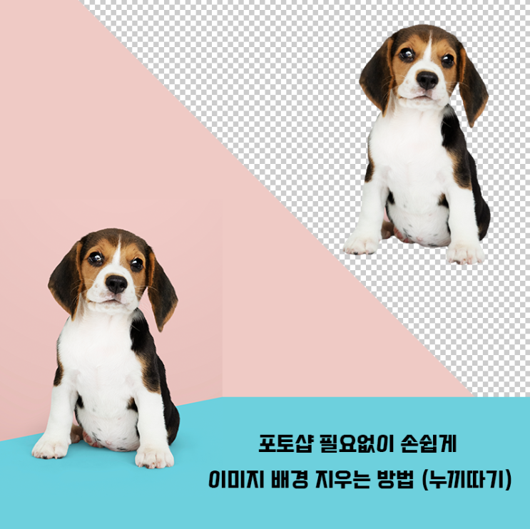  포토샵 없이 손쉽게 이미지 배경 지우는 방법! (자동 누끼따기!)