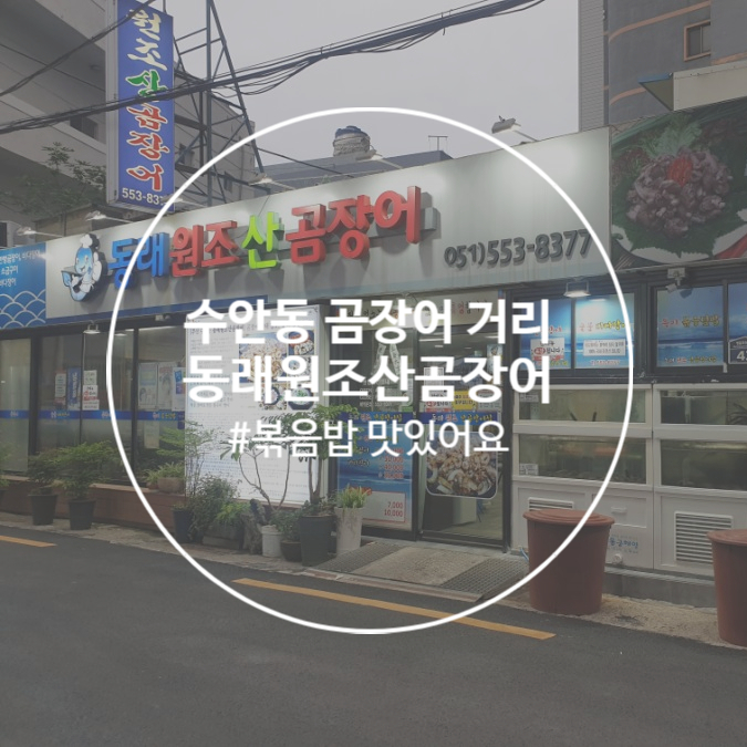  [동래 산곰장어] 수안동 곰장어거리 "동래 원조 산 곰장어"