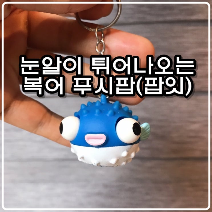  눈알 뿅! 피젯 복어 푸시팝(팝잇) 리뷰 [초딩의 장난감]