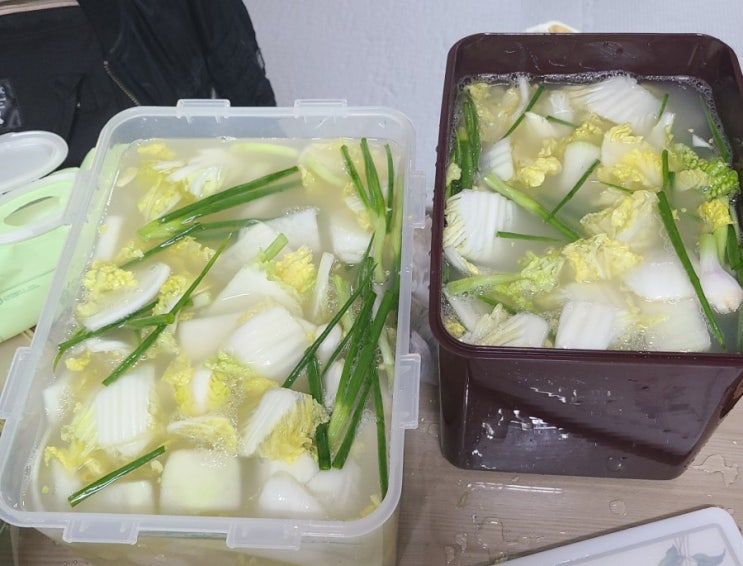  생애 첫 물김치 만들기! 성공하겠쥬..?
