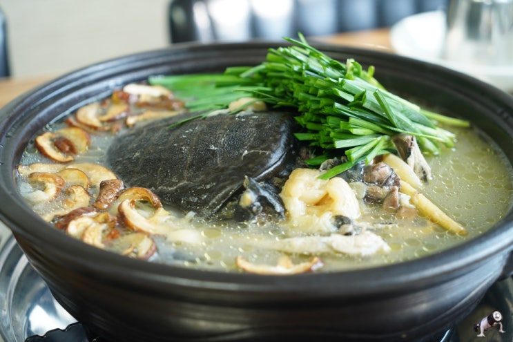  괴산 맛집 여행 장수밥상 군자식당 남자에게 좋은 자라용봉탕
