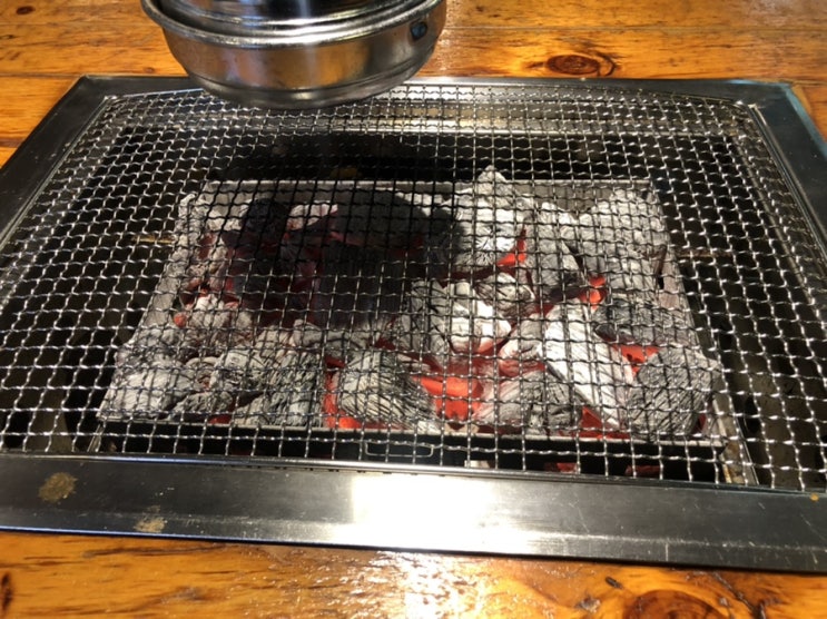  장어