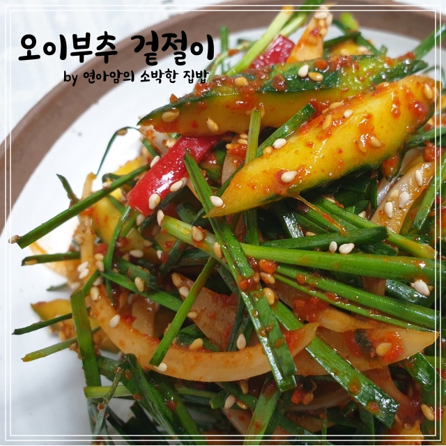  오이부추겉절이 김치 부추오이무침 만드는 법 자꾸 손이가는 맛