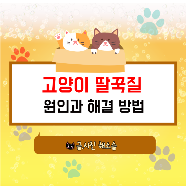  고양이 딸꾹질도 하나요? (원인과 해결 방법)
