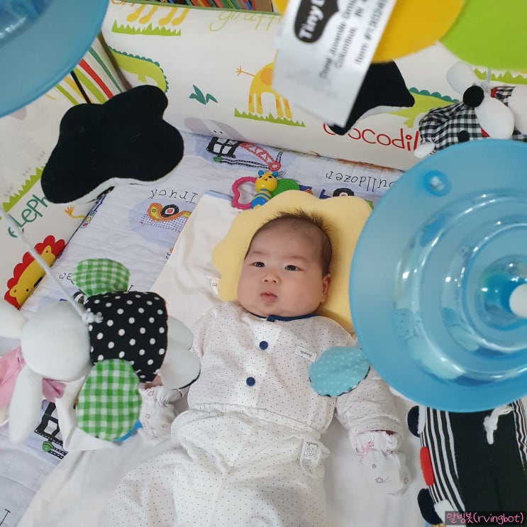  [parenting diary] 아기 기분 좋을 때 표정