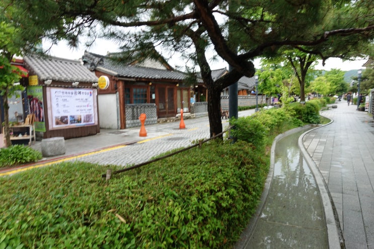  왼쪽 가슴 콕콕 통증 뻐근할 때