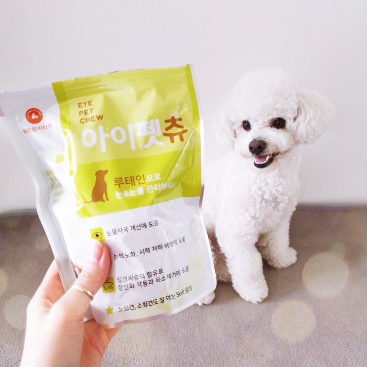 강아지 눈물자국 지우기 퍼피랑키티랑 아이펫츄로 냄새까지 잡다 강아지 눈물자국 지우기 퍼피랑키티랑 아이펫츄로 냄새까지 잡다